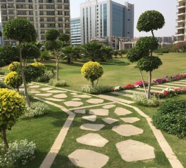 Houzz Landscape Ideas