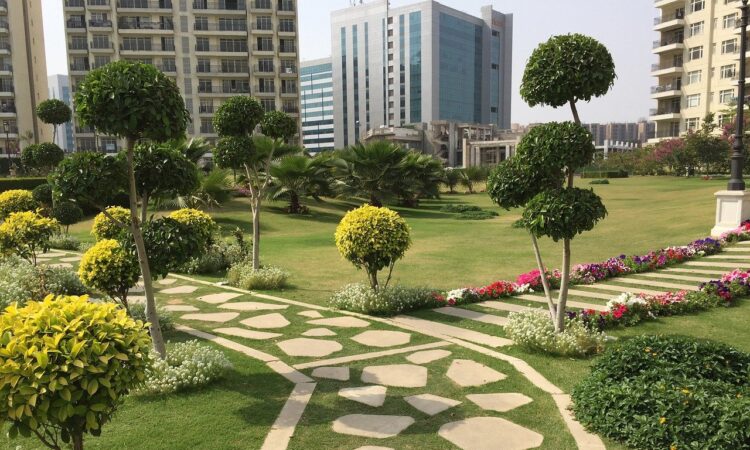 Houzz Landscape Ideas