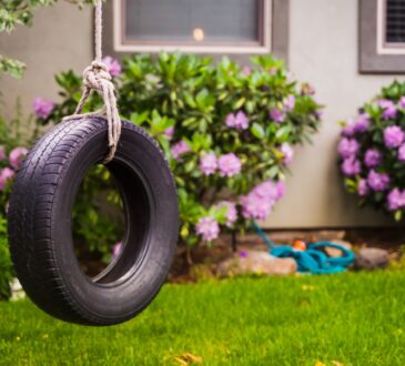 How to Design Backyard Landscape
