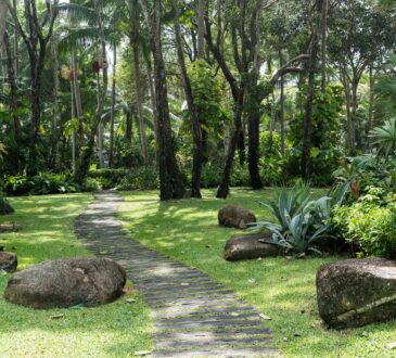 IDEAS for Landscaping with Rocks