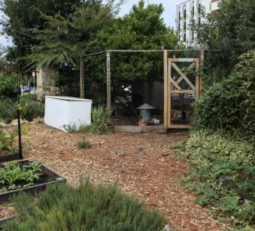Ideas for Landscaping Backyard on a Budget