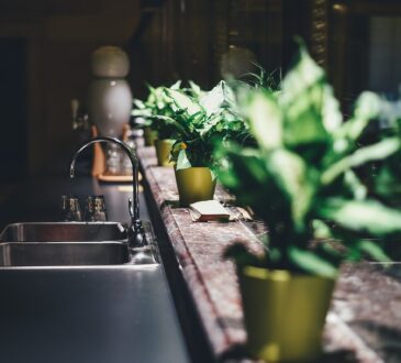 Indoor Landscape Design