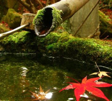 Japanese Landscaping Ideas