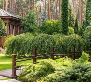 Japanese Landscaping Ideas for Front Yard