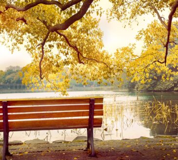 Lakefront Landscape Ideas