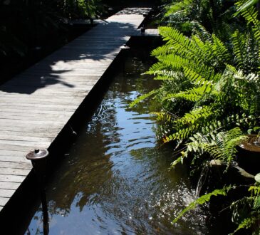 Landscape Bridges Ideas