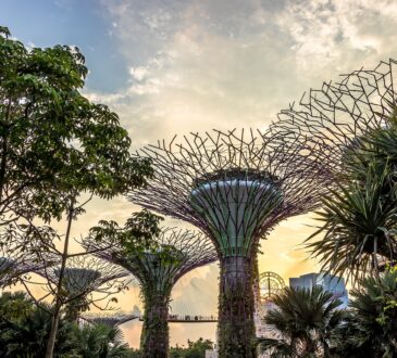 Landscape Design Awards