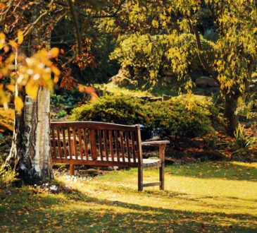Landscape Design Backyard Pictures