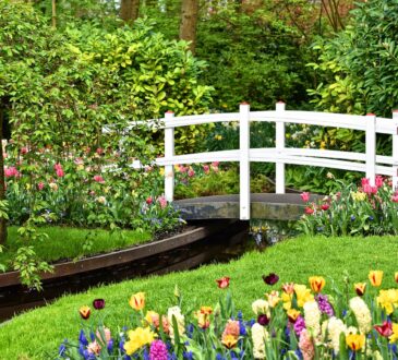 Landscape Design Flower Beds