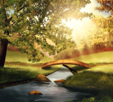 Landscape Design Google SketchUp