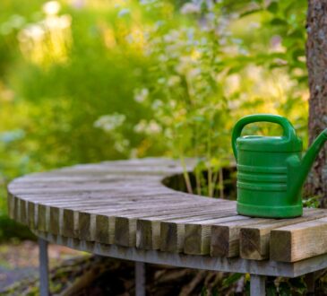 Landscape Design Ideas for Backyard