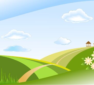 Landscape Design Information