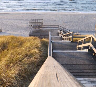 Landscape Design Northern Beaches