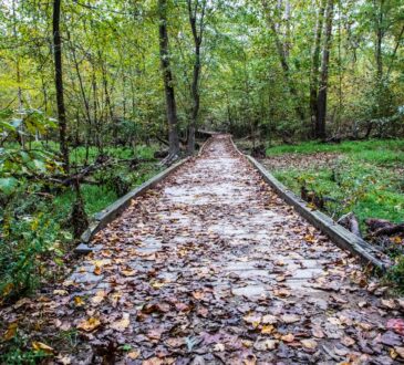 Landscape Design Northern Virginia