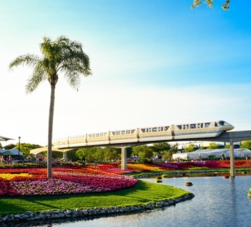 Landscape Design Orlando Florida
