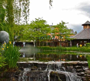 Landscape Design Pleasanton