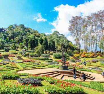Landscape Design and Installation
