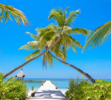 Landscape Design with Palm Trees