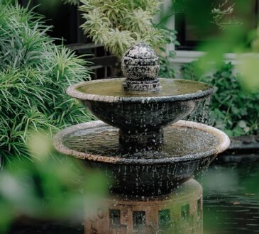 Landscape Design with Water Fountain