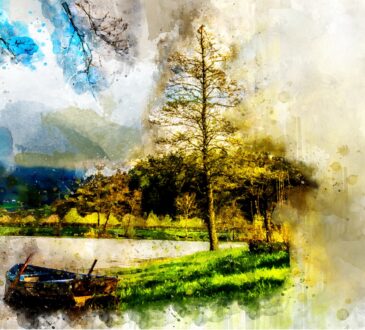 Landscape Designers Bay Area
