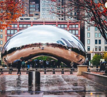 Landscape Designers Chicago