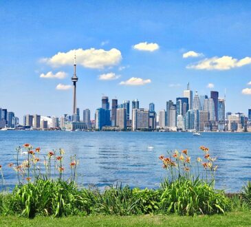 Landscape Designers Toronto