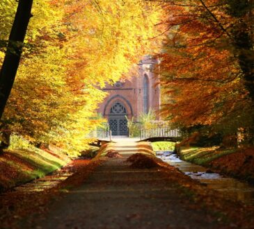 Landscape Driveway Ideas