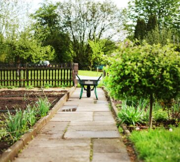 Landscape Garden IDEAS Pictures