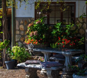 Landscape Ideas for Backyard on a Budget