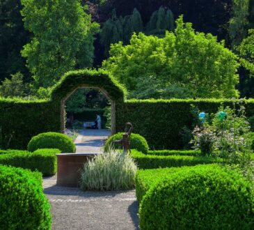 Landscape Planting Ideas