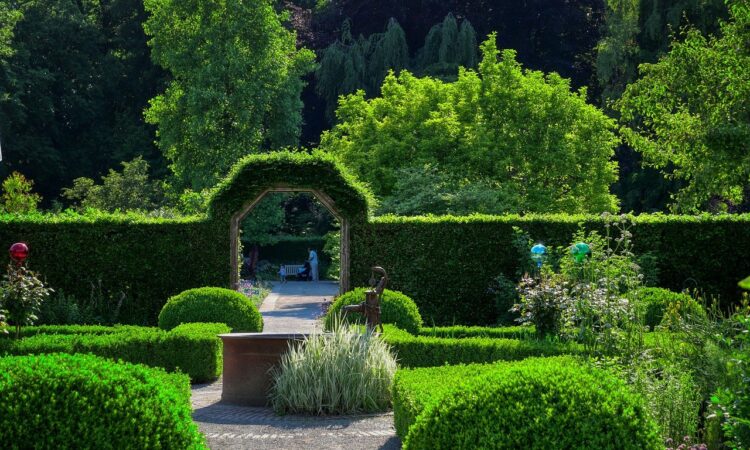 Landscape Planting Ideas