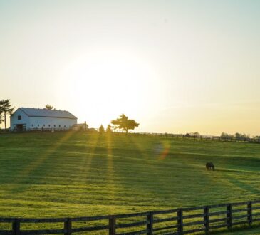 Landscape designer Louisville Kentucky