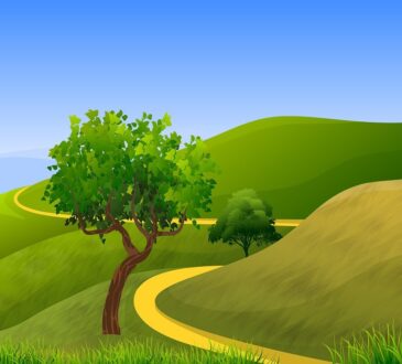 Landscape designer Orange County