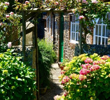 Landscaping Backyard IDEAS Inexpensive