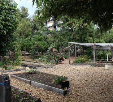Landscaping Design Ideas for Backyard
