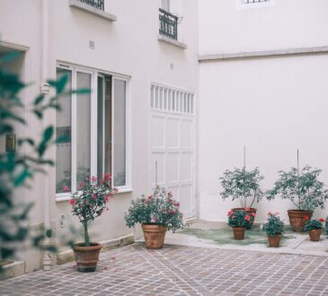 Landscaping Design for Backyard