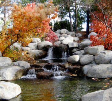 Landscaping Design images