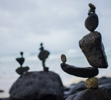 Landscaping Design with Rocks