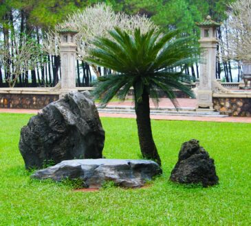 Landscaping Edging IDEAS with Stone