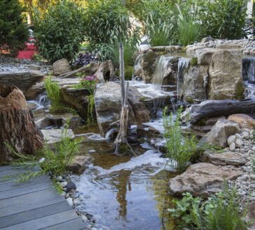 Landscaping IDEAS Using Rocks and stones