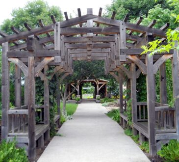 Landscaping IDEAS for Garden