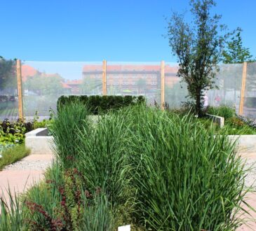 Landscaping IDEAS for Privacy Screening
