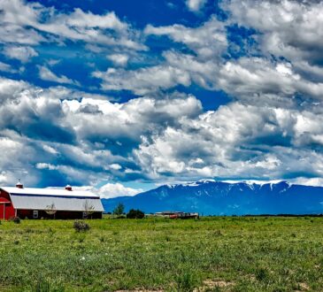 Landscaping IDEAS for Raised Ranch Style Homes