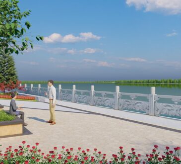 Landscaping IDEAS for Walkways