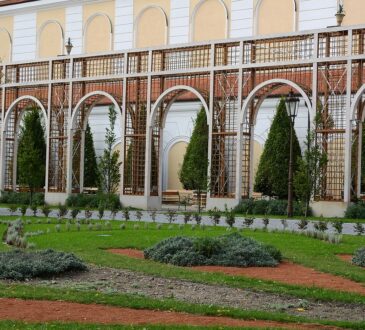 Landscaping IDEAS for Walkways and Paths