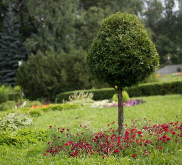 Landscaping IDEAS in Michigan
