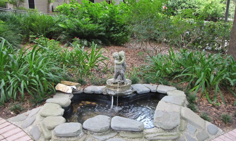 Landscaping IDEAS with Water Features