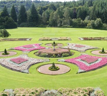 Landscaping Ideas Flower
