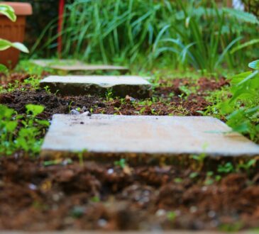 Landscaping Ideas Minnesota