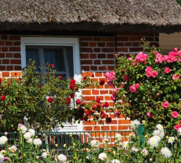 Landscaping Ideas Small Area Front House